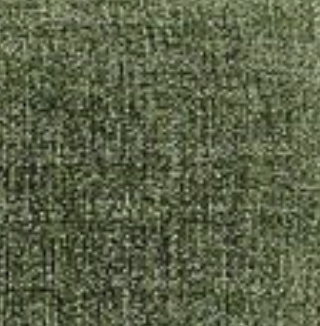 Foliage