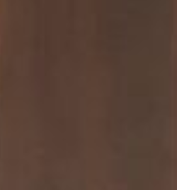 Rustic Medium Brown