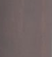 Hickory Brown