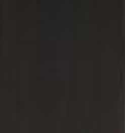 Hickory Brown