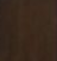 Dark Tobacco Brown