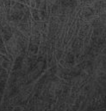 Distressed Black