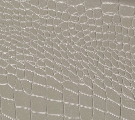 Champagne Silver