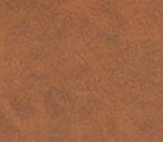 Brown/Gold