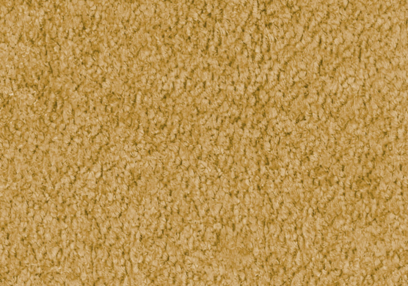 8302