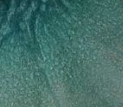 Aqua
