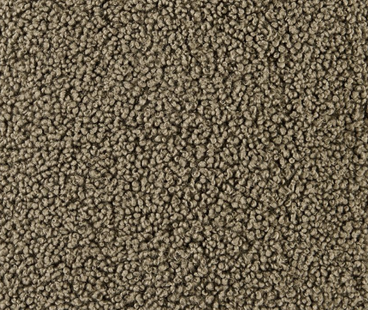 Dark Oak