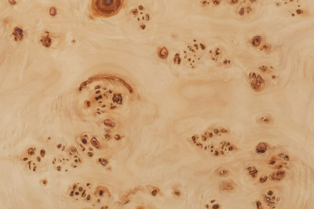 Burl
