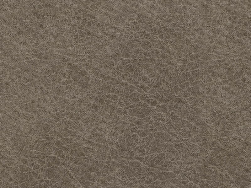 Fossil
