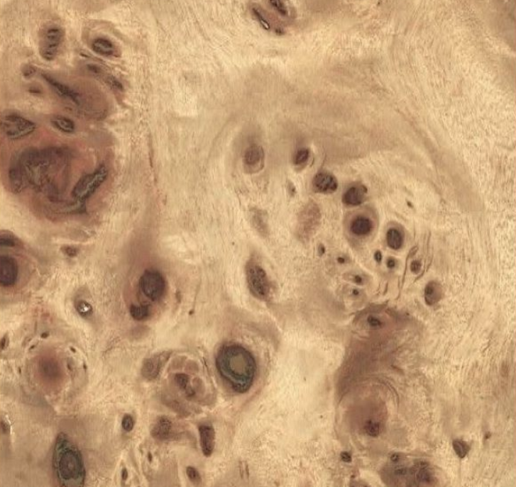 Light Burl