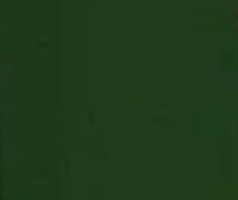 Wild Green