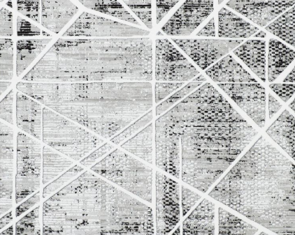 R1003