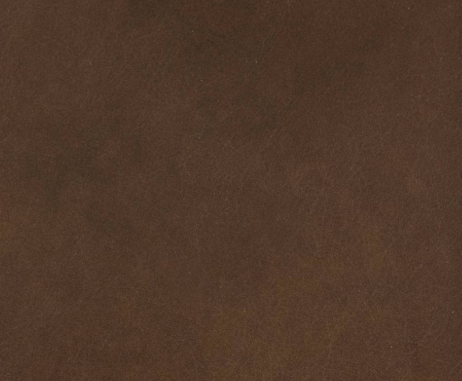 Rich Cocoa