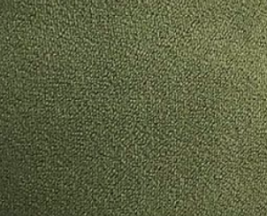 Moss Green
