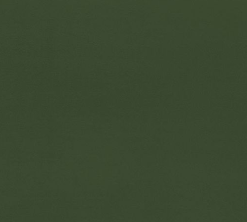 Moss Green