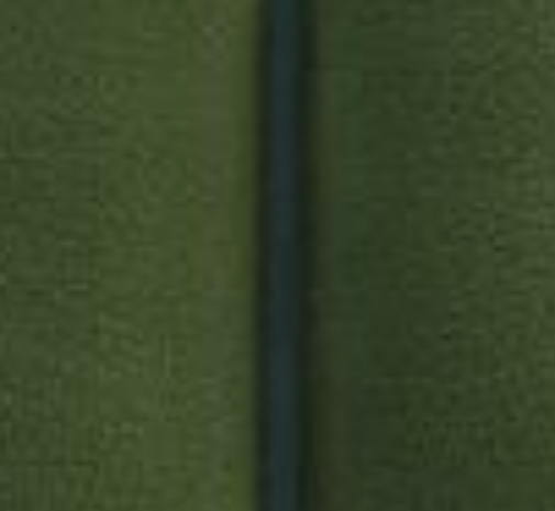 Moss Green/Dark Green