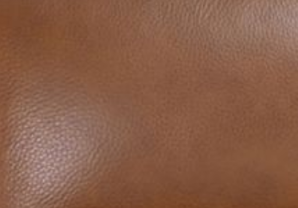 Chestnut Brown